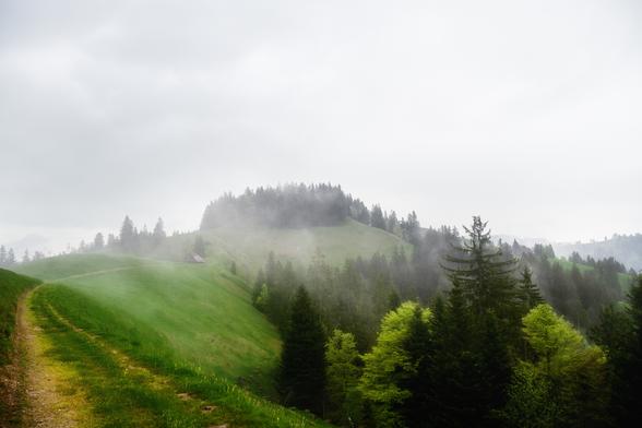 Landschaftsfotografie des Emmentals in der Schweiz im Nebel. Links im Bild führt ein Feldweg zu einem Haus.