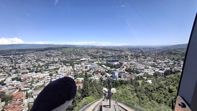 Reisewali mit Blick auf die Schienen und die Stadt