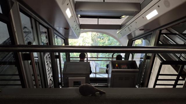 Reisewali im schrägen Zug