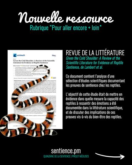 Visuel sur fond noir montrant un serpent sur une étude scientifique et disant : « REVUE DE LA LITTÉRATURE (en Anglais) Given the Cold Shoulder: A Review of the Scientific Literature for Evidence of Reptile Sentience, de Lambert et al.

Ce document contient l’analyse d’une sélection d’études scientifiques documentant les preuves de sentience chez les reptiles.

L'objectif de cette étude était de mettre en évidence dans quelle mesure la capacité des reptiles à ressentir des émotions a été documentée dans la littérature scientifique, et de discuter des implications de ces preuves vis-à-vis du bien-etre des reptiles. »