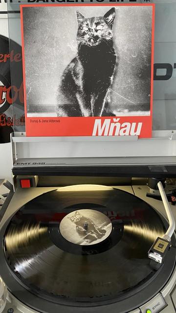 Vinyl LP der Band Dunaj mit der Sängerin Jana Vébrová und dem Titel Mñau auf einem Plattenspieler. Auf dem Cover ist eine sitzende schwarze Katze abgebildet.