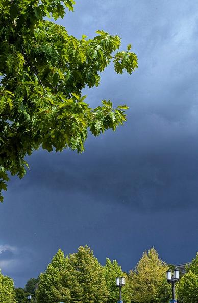 Das Bild zeigt eine Szene mit einem dramatischen Himmel, der von dunklen, bedrohlichen Wolken überzogen ist, die auf anstehenden Sturm hindeuten. Im Vordergrund sind grüne Blätter eines Baumes sichtbar, die in den Himmel ragen. Die Blätter sind frisch und leuchtend, was auf eine gesunde Vegetation hinweist. Im Hintergrund sind weitere Bäume mit dichtem Laub zu sehen, die in verschiedenen Grüntönen erscheinen, was auf eine Vielfalt an Pflanzenarten hinweist. Zwei Straßenlaternen mit klassischem Design sind sichtbar, die in der Mitte des Bildes stehen und auf eine gepflegte Umgebung hinweisen. Der Himmel ist stark kontrastierend mit den dunklen Wolken, die eine bedrohliche Atmosphäre schaffen. Die Szene vermittelt ein Gefühl von Natur und Stille, trotz der anstehenden Wetterveränderung.