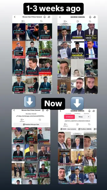 Im Bild ist zu sehen, wie sich die Zugriffszahlen des ultra rechten Kandidaten ver-20-facht haben. Der pro-europäische Kandidat verliert hingegen ein Drittel seiner Views. 


Source: https://www.reddit.com/r/europe/s/bWaqO3p2o9