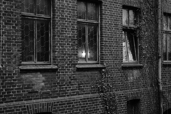 The image depicts a black and white view of a brick building facade with four windows. There are some climbing plants on the walls, and one window has a light on inside, creating a contrast against the otherwise dark exterior.