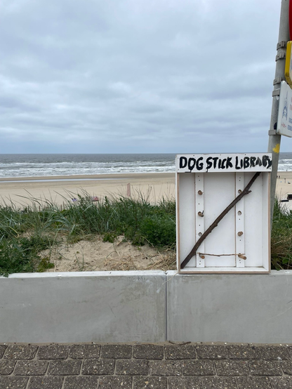 Image of a beach with a box labeled “dog stick library” with sticks inside.