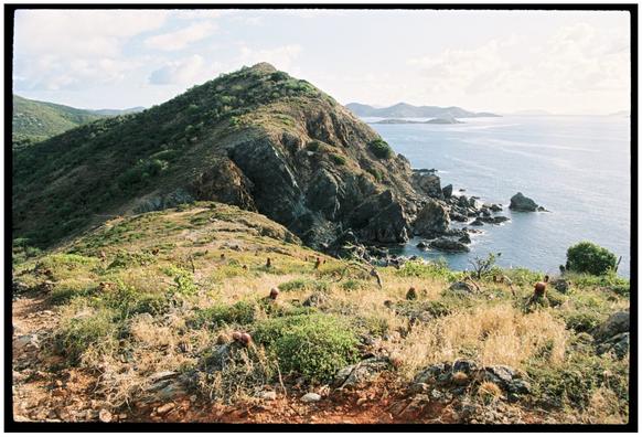 A film photograph of a rugged coastal landscape on the island of St. John, US Virgin Islands. A turquoise ocean is on the right side of the frame and a steep rocky hill descends to the jagged shoreline. The photo is taken from an adjacent hill and the foreground is a grassy slope that is vegetated with yellow grasses, green shrubs, and many short cacti.