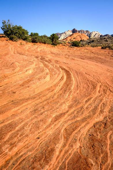 A landscape with swirling patterns in red sandstone, sparse green shrubs, and distant mountains under a clear sky.