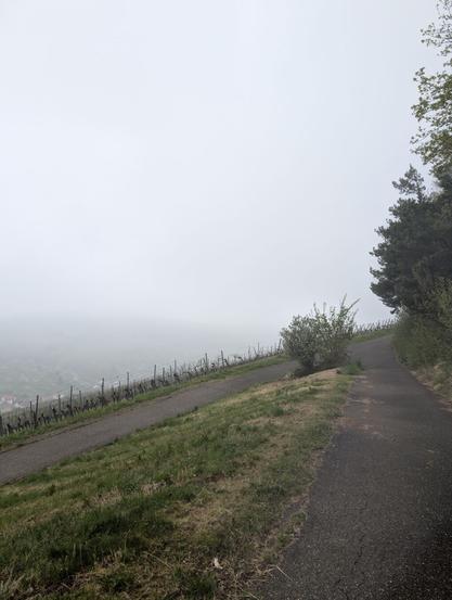 Fog patches obscure the view into the valley