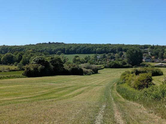 A lush, green landscape features a mowed field with a path leading toward a distant tree-covered hill under a clear blue sky.
