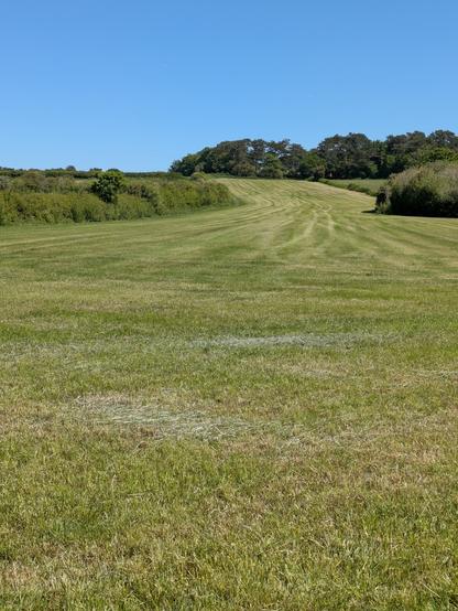 A neatly mowed grassy field extends toward a distant line of trees under a clear blue sky.