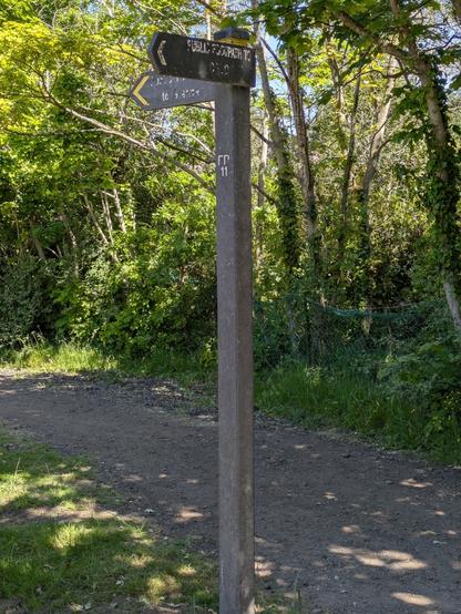 A wooden signpost stands on a dirt path surrounded by lush greenery and trees.