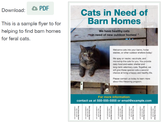 screensshot of a subsite of Alley Cats and Angels (NC) website, with a poster for download titled "Cats in need of Barn homes" and "This is a sample flyer to helping to find barn homes for feral cats. 
it shows the photo of a tabby cat sitting on a piece of wooden shelf in some outdoor barn setting, looking at the camera.