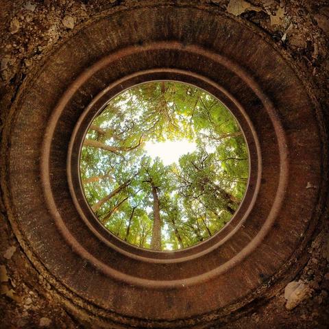 One of a series of photographs showing late-summer scenes from a county park in southern Minnesota.