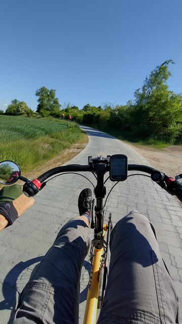 Das Bild zeigt eine Perspektive aus der Ich-Perspektive eines Radfahrers auf einem Liegerad. Der Fahrer ist auf einem asphaltierten Radweg unterwegs, der von grüner Vegetation gesäumt ist. Der Himmel ist klar und blau. Im Hintergrund sind weitere Radfahrer erkennbar. Auf dem Lenker des Fahrrades ist ein Fahrradcomputer angebracht, der die gefahrenen Kilometer anzeigt. Die Gesamtstimmung ist ruhig und sonnig.