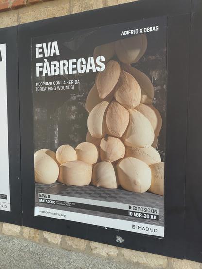 Una exhibición artística que se puede ver ese día.