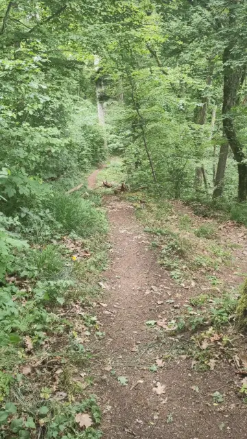 Blick auf den Cherzenstübli Trail