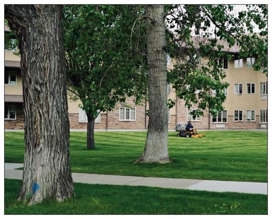 The image shows a tranquil outdoor scene with several large trees in the foreground featuring a mix of deep green and spring green foliage. In the background, there is a large multi-story residential building with windows and details consistent with modern apartment architecture. A person on a riding lawn mower is visible, actively mowing the lush green grass in the wide, open lawn area of what appears to be a well-maintained garden or park. The scene conveys a sense of routine outdoor maintenance and peaceful living environment.