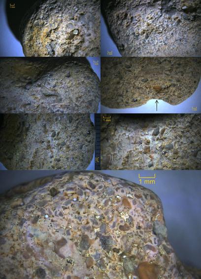 See main text. 7 views: 4 of possible hash, 1 of shell impression, & 2 different sizes of the shell cast.
