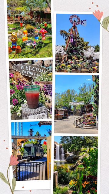 #blog 
#KnottsBerryFarm 05.14.25 Boysenberry festival and springtime decorations

Post - https://www.pateln01.com/2025/05/knotts-berry-farm-051425-boysenberry.html

Video Verson - https://youtu.be/8PutNLVQd24

#Knotts #Boysenberry #themepark #amusementpark, #SilverBullet #Xcelerator #Hangtime #SkyCabin #SupremeScream #rollercoaster