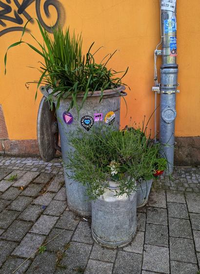 A photo shows two galvanised metal containers repurposed as planters, set against an orange wall. The larger container, resembling a bin, is positioned to the left and holds tall, green, grass-like plants. It's adorned with various stickers. A smaller, cylindrical container sits in front and to the right, containing rosemary and sweet alyssum. The containers are placed on a grey brick pavement. A metal pipe runs vertically along the orange wall to the right, also covered in stickers.