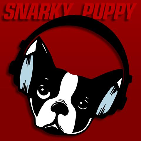 Illustration of a cute dog's head. The dog is wearing big over-ear headphones. The text "Snarky Puppy" is set above, on a red background.