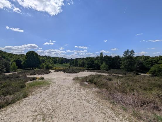 Blick von einem Kieshügel in eine parkähnliche Landschaft im Bildhintergrund. Links, rechts und im Mittelgrund braunes Heidekraut.
Der Himmel blau mit Schönwetterwolken.