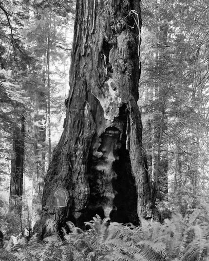 An image associated with the Instagram post https://millsfield.sfomuseum.org/id/1729357665/