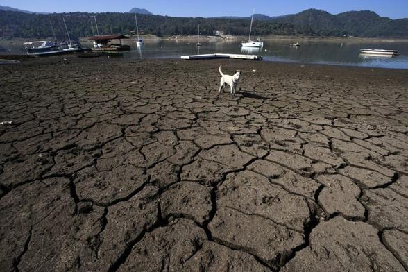 歴史的な水不足に陥っているメキシコ（写真：AP/アフロ）