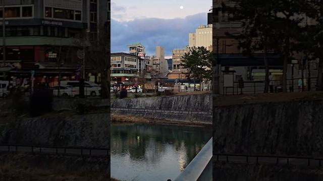 Kyoto Japan 🇯🇵 #shorts #kyoto #japan