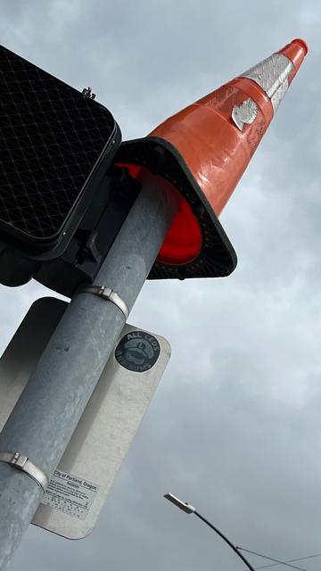 an orange traffic cone adorns the top of a crosswalk post, viewed from below against an overcast sky. a black sticker with the slogan ‘All CEOs Are Bums‘ sticks to the back of a no parking sign attached to the post.