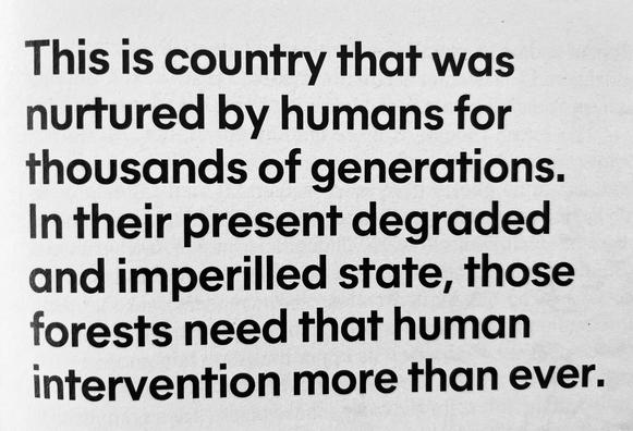 Wood for the trees, Jonathan Green, November 2023 
https://www.themonthly.com.au/november-2023/essays/wood-trees