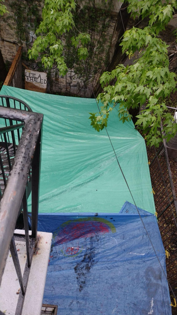 Ready pour le BBQ de demain. Rain or not.
