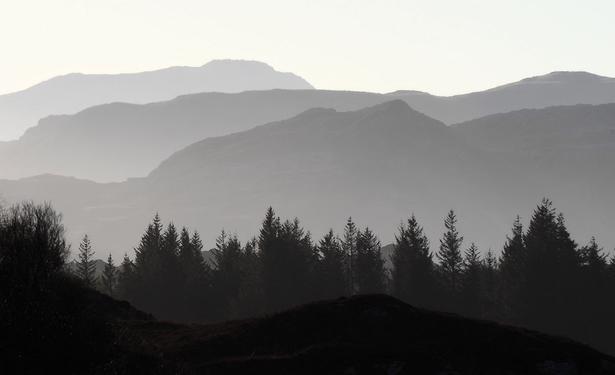 Trees and hills in gradated grey.