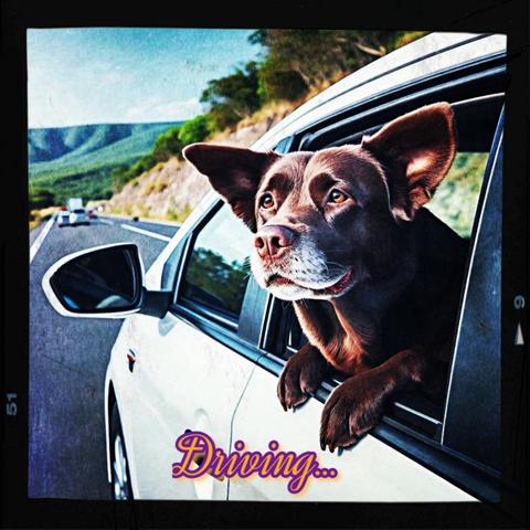 A heartwarming scene featuring a brown dog with distinctive large ears poking its head out of the rear window of a white car. The car is moving along a highway, surrounded by lush greenery. In the background, gently rolling hills dotted with trees stretch into the distance under a clear, vibrant blue sky. The dog's expression is a mix of curiosity and contentment, as if enjoying the breeze and the passing scenery. Adding a playful touch to the image, the word "Driving..." is displayed in a bold, stylized purple and yellow font at the bottom, evoking a sense of freedom and adventure.