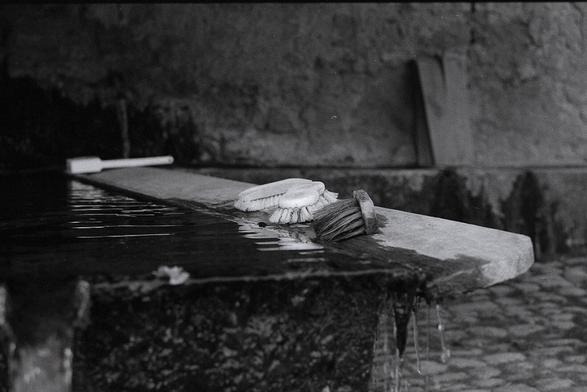 Black and white photography of brushes on the edge of a wash.