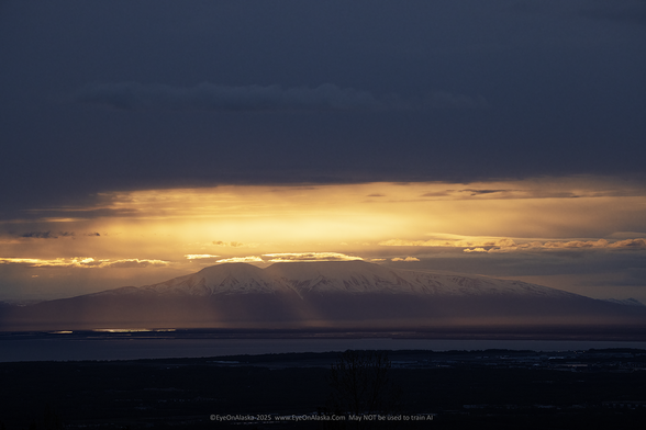 A layer of bright gold late evening sunlight above Mt. Susitna (Sleeping Lady) west of Anchorage.  A dark layer of cloud covers the top 1/3 of the frame.  2 bright angled shafts of sunlight in front of Sleeping Lady reach for the ground.