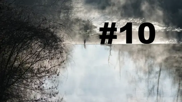 Un oiseau posé sur le bord d'une petite cascade sur un cours d'eau. Un arbre sur la gauche. Au-dessus de l'eau, des brumes de vapeurs. L'eau au premier plan semble sans mouvement, tandis qu'après la cascade le cours d'eau se transforme en torrent. Sur la droite le numéro de la chronique précédé d'un dièse.