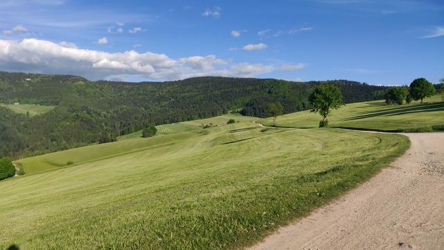 Schotterweg durch frisch gemähte, saftig grün leuchtenden, Bergwiesen.