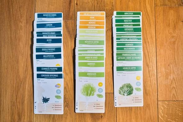 Visuel des cartes caragana