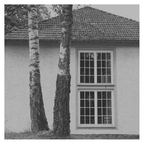 Zwei übereinander liegende ältere Fenster. Die Fenster sind unterteilt. Links von den Fenstern zwei Birken