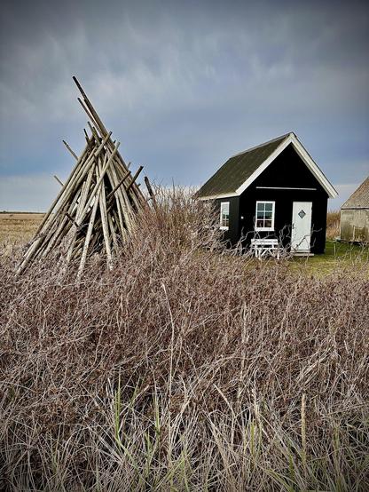 The image shows a rustic setting with a black wooden cabin featuring a white door and two white-framed windows. In the foreground, there is a large pile of wooden logs stacked into a conical shape, reminiscent of a makeshift shelter or woodpile. The cabin is surrounded by tall, dry grass, adding to the secluded, rural feel of the scene. The sky is overcast, suggesting a cool or gloomy day. This setting seems to evoke a sense of solitude and a close connection with nature.