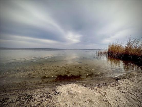 The image shows a tranquil lakeside scene. The foreground features a patch of sandy beach that gradually meets clear, still lake water. On the right side, there’s a cluster of tall, dry reeds emerging from the water, adding a touch of natural texture to the scene. The lake itself extends to the horizon, blending seamlessly with the gray, overcast sky above, which is dramatized by rays of light breaking through the cloud cover. This creates a serene and somewhat moody atmosphere, typical of overcast days at a quiet lake.