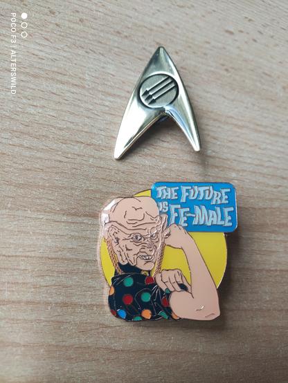 2 Pins. Oben das Abzeichen der Star Trek Föderation, in der Mitte drei nach links abwärts zeigende Pfeile (ein weiteres Zeichen der Antifa). Unten der Oberkörper von Moogie, den Arm in Kampfpose angewinkelt, mit Text "THE FUTURE IS FE-MALE"