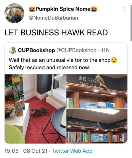 Image: Meme depicts hawk perched atop shelf in business section of bookshop, with tweet: "Well that was an unusual visitor to the shop. Safely rescued and released now." And a caption above: Let business hawk read.