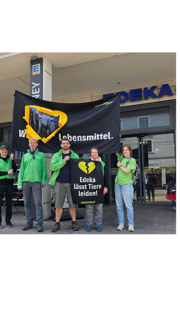 Mehrere Menschen mit Greenpeace-Kleidung stehen vor einem EDEKA-Markt und zeigen ein reales Stallbild und ein gebrochenes Herz auf zwei Bannern und machen auf das verursachte Tierleid aufmerksam