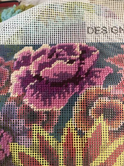 Une pivoine rose au caneva