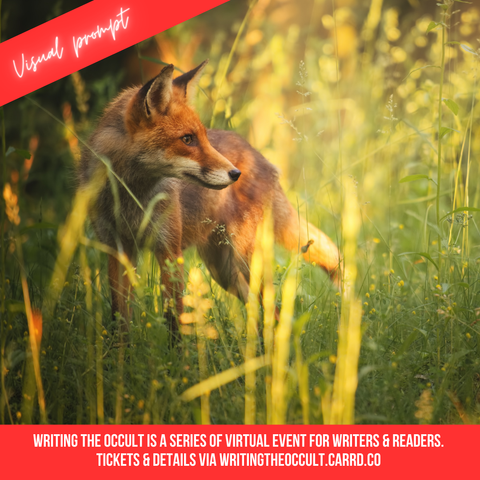 A fox is still, staring at something to its side while standing in long grasses at dawn.