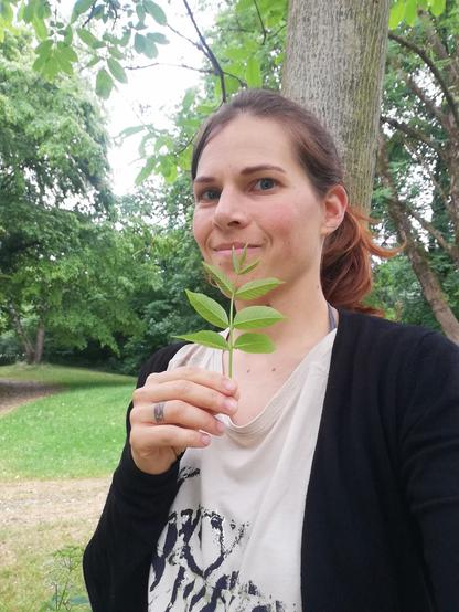 Ich stehe vor einem Walnussbaum und halte ein Walnussblatt hoch. Im Hintergrund ein Park.
