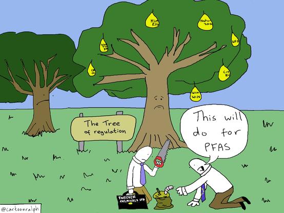 This cartoon shows a couple of trees with sad faces. The one in the foreground is labelled “The tree of regulation” and has several fruits which are labelled: human rights, win win, nature, citizens rights and other benefits of regulation. Close by 2 men are crouched around a fallen rotten fruit with a worm protruding. One man is wearing a tie, carrying a briefcase labelled Forever Chemicals Ltd, and wielding a saw. The other man is wearing a tie with EU stars on, and is pointing to the mouldy fruit saying “This will do for PFAS”. Cartoon by @CartoonRalph
