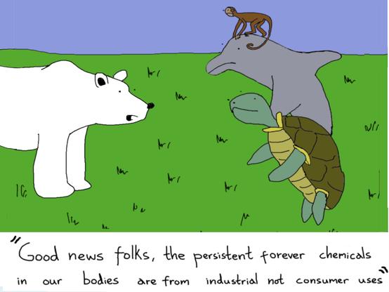 Cartoon depicting countryside with a polar bear on the left and a turtle, dolphin, and monkey on the right. The polar bear is saying “Good news folks, the persistent, forever chemicals in our bodies are from industrial not consumer uses”. Cartoon by @CartoonRalph